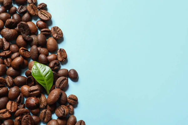 Fresh green coffee leaf and beans on color background, flat lay with space for text