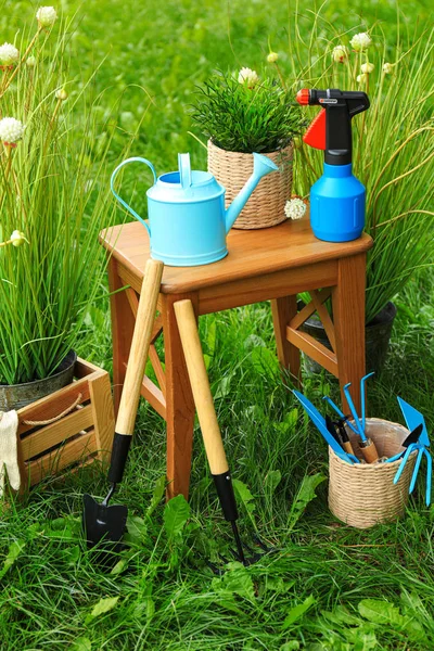 Composição com ferramentas de jardinagem na grama verde — Fotografia de Stock