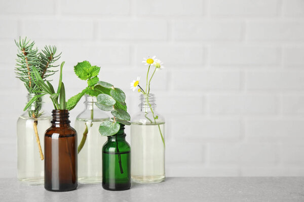 Glass bottles of different essential oils with plants on table. Space for text