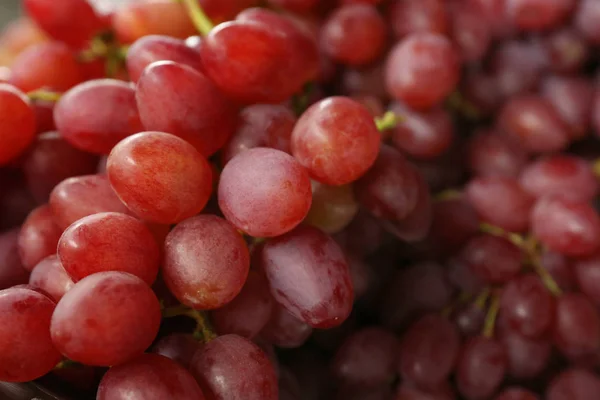 Frescas uvas rojas jugosas maduras como fondo, vista de cerca —  Fotos de Stock