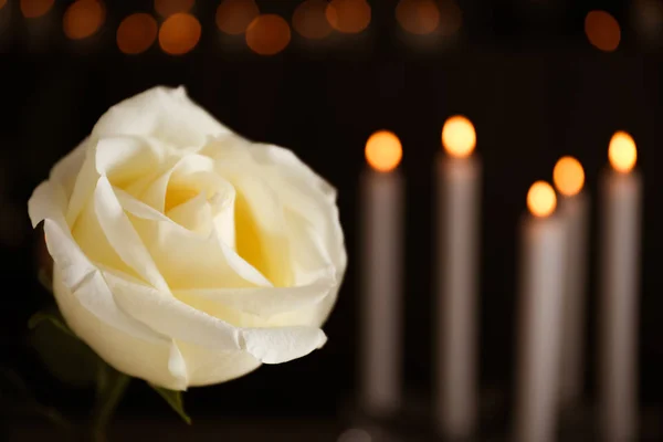 Rosa branca e velas em chamas borradas no fundo, espaço para texto. Símbolo funerário — Fotografia de Stock