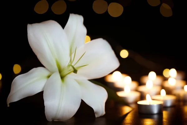 Белая лилия и горящие свечи на столе в темноте. Похоронный символ — стоковое фото