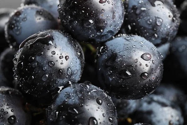 Arka plan olarak taze olgun sulu siyah üzüm, closeup görünümü — Stok fotoğraf