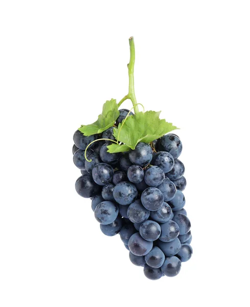 Stelletje verse rijpe sappige zwarte druiven geïsoleerd op wit — Stockfoto
