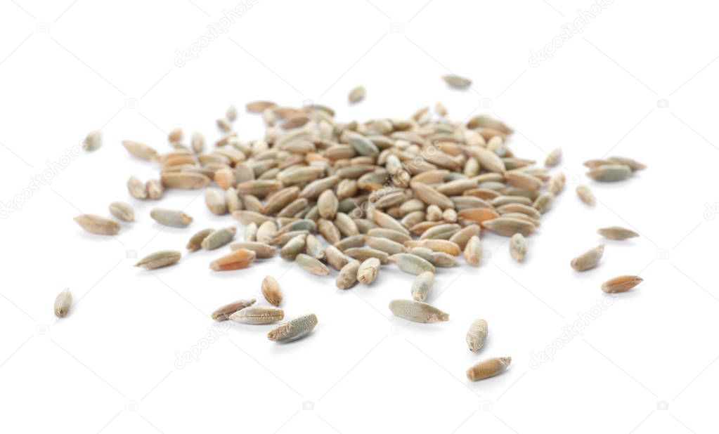 Pile of rye grains on white background. Cereal crop