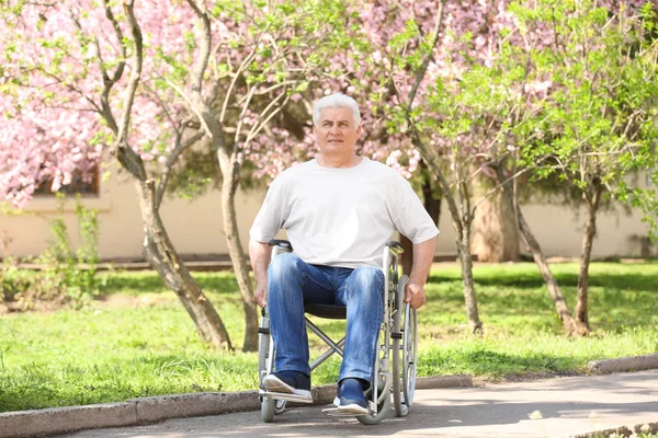 Homem sênior em cadeira de rodas no parque no dia ensolarado — Fotografia de Stock