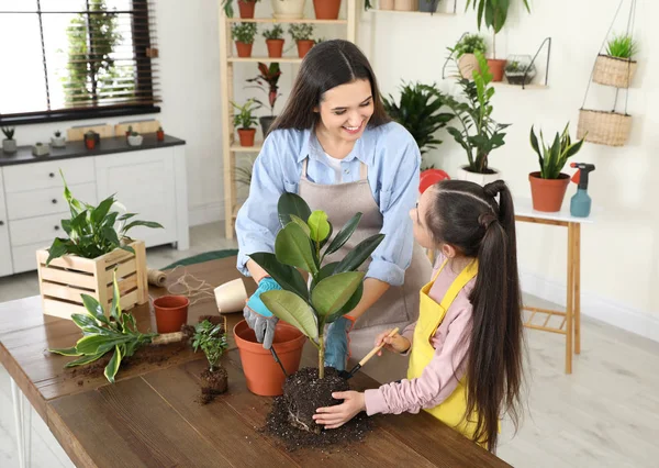 Mor och dotter tar hand om anläggningen hemma — Stockfoto