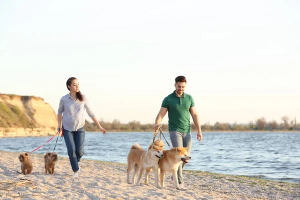 Młoda para spaceru ich urocze psy w pobliżu rzeki — Zdjęcie stockowe