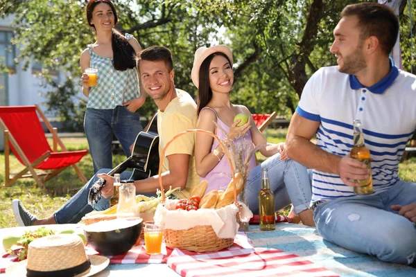 Jóvenes disfrutando de un picnic en el parque el día de verano —  Fotos de Stock