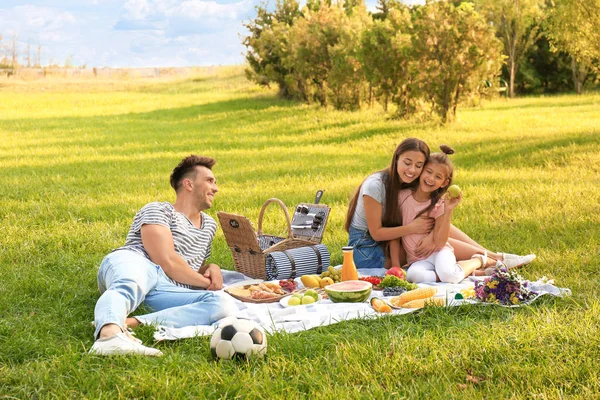 Familia feliz teniendo un picnic en el parque en el soleado día de verano — Foto de Stock