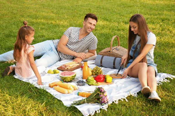 Famiglia felice che fa un picnic nel parco nella soleggiata giornata estiva — Foto Stock