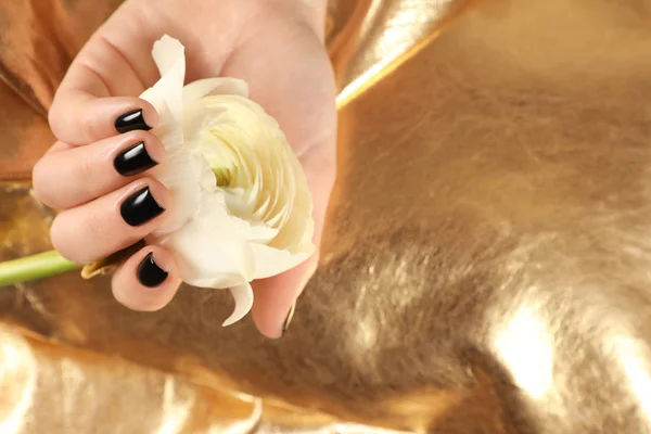 Woman with black manicure holding flower on golden background, closeup. Nail polish trends