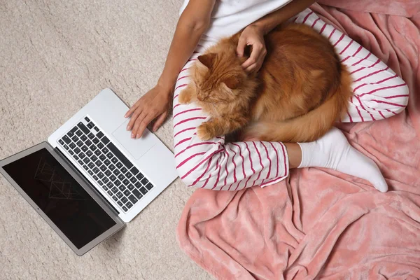 Kobieta z cute czerwonego kota i laptopa na jasnym dywanem, widok z góry — Zdjęcie stockowe