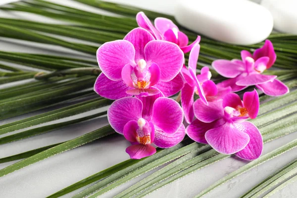 Orchidea virágok, Spa kövek és zöld trópusi levél a szürke asztal — Stock Fotó