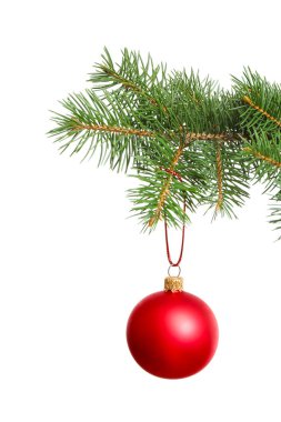 Kırmızı Noel topu beyaz arka plan karşı köknar ağacı dalı asılı