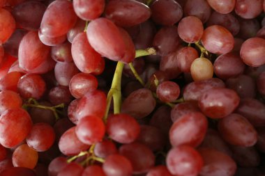 Arka plan olarak taze olgun sulu kırmızı üzüm, closeup görünümü