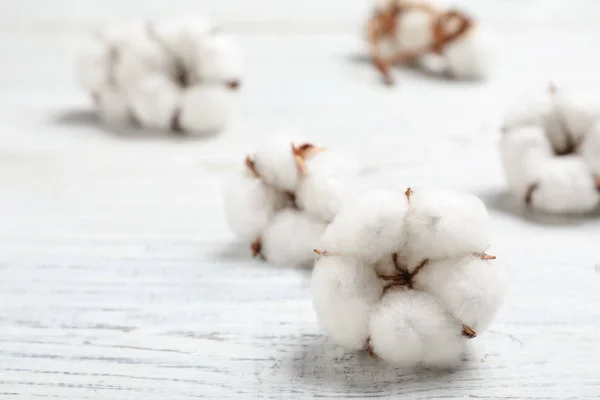 白い木製の背景にふわふわの綿の花、クローズアップ — ストック写真