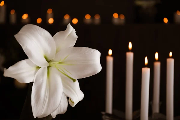 Witte Lelie en wazig brandende kaarsen op achtergrond, ruimte voor tekst. Begrafenis symbool — Stockfoto