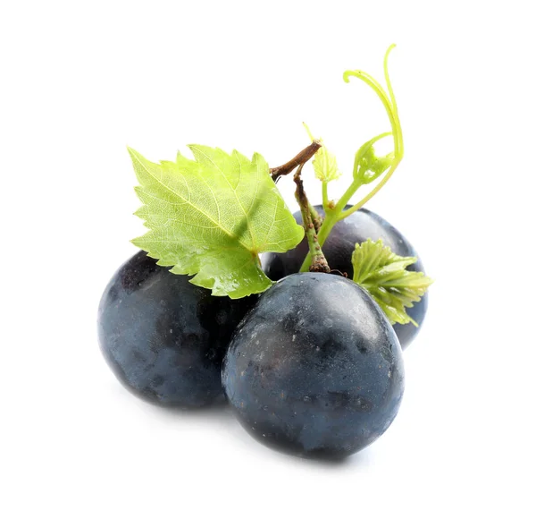 Uvas pretas suculentas frescas e maduras isoladas em branco — Fotografia de Stock