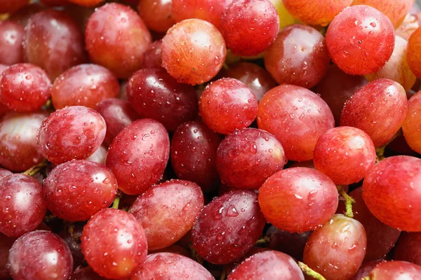 Raisins roses juteux frais mûrs comme fond, vue rapprochée — Photo