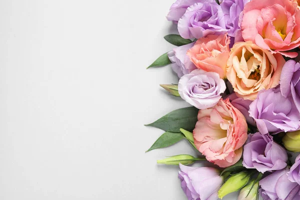 Bellissimi fiori di Eustoma su sfondo bianco, vista dall'alto. Spazio per testo — Foto Stock