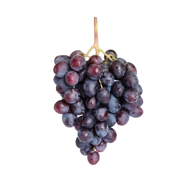 Bando de uvas frescas maduras e suculentas isoladas em branco — Fotografia de Stock