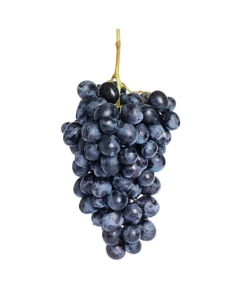 Bouquet de raisins frais juteux mûrs isolés sur blanc — Photo