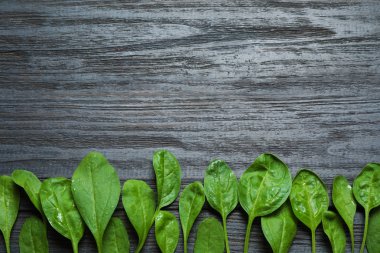 Koyu ahşap masa üzerinde taze yeşil sağlıklı ıspanak, düz yatıyordu. Metin için alan