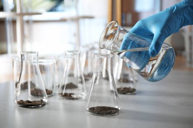 Bilim adamı masada toprak ekstresi hazırlıyor, yakın çekim. Laboratuvar araştırmaları