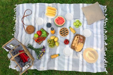 Parkta çim üzerinde lezzetli aperatifler ile Piknik battaniye, üst görünümü