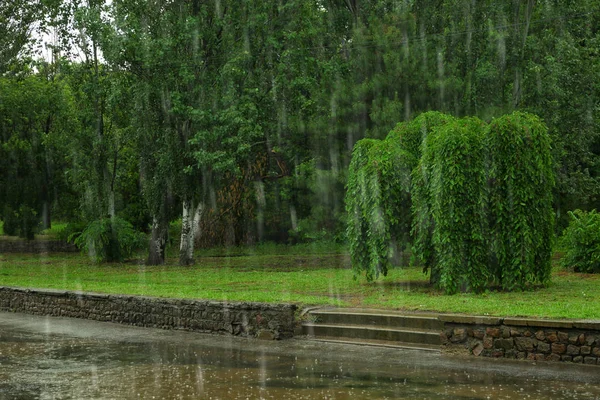 Vue de fortes pluies battantes dans un parc verdoyant — Photo