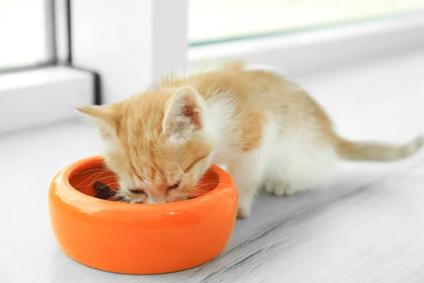 Симпатичный маленький рыжий котенок ест из миски на полу — стоковое фото
