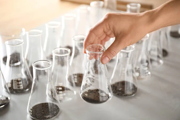 Mujer sosteniendo el matraz con la muestra de tierra sobre la mesa, primer plano. Análisis de laboratorio —  Fotos de Stock