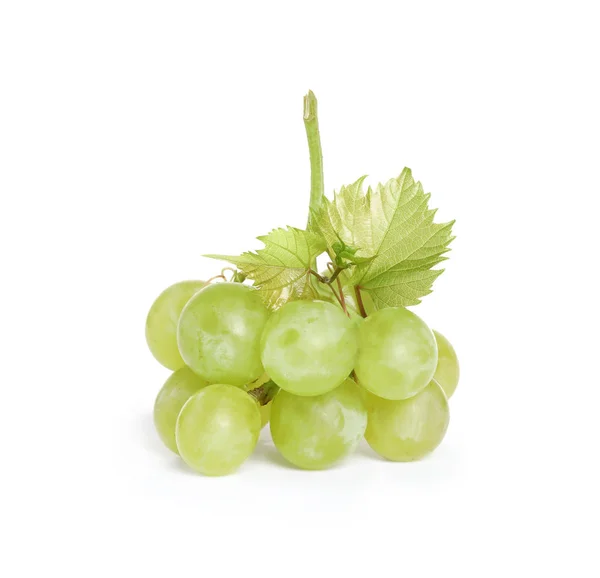 Bando de uvas frescas maduras e suculentas isoladas em branco — Fotografia de Stock