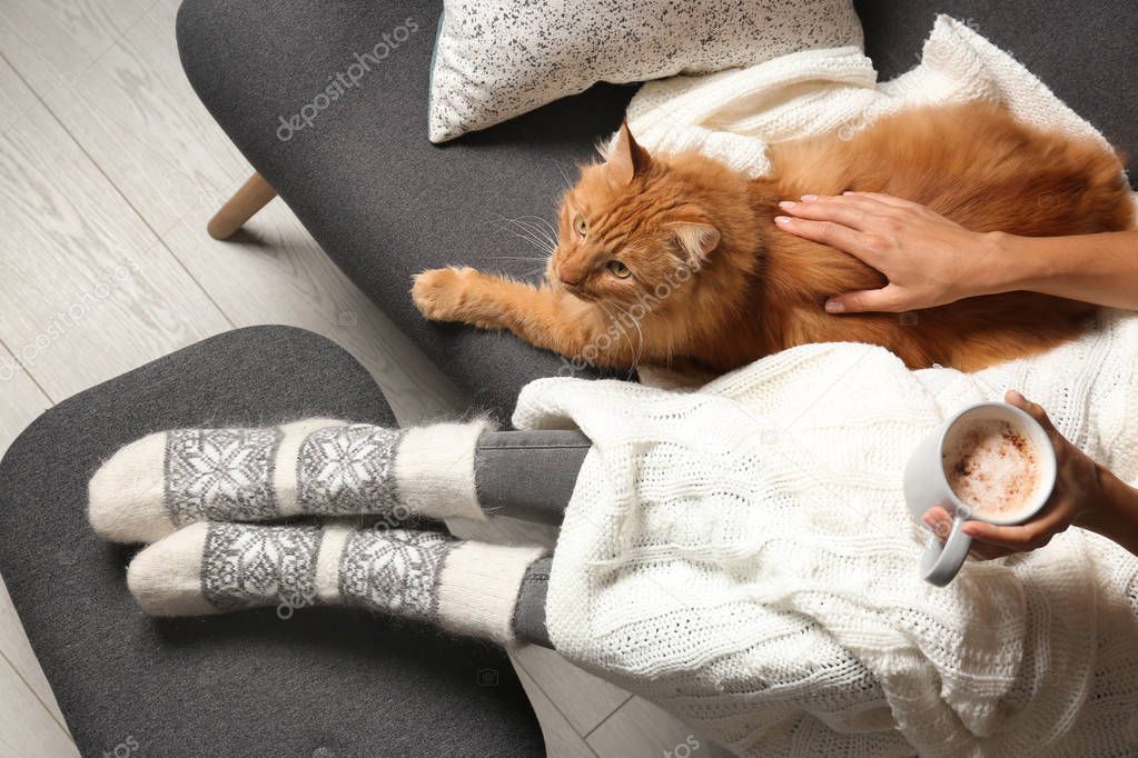 Woman with cute red cat and coffee on grey sofa at home, top view