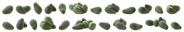 Set av färska mogna avokado på vit bakgrund — Stockfoto