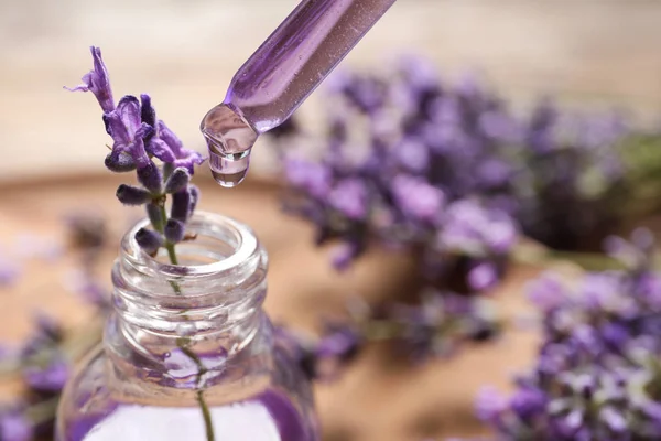 Natural oil dripping into bottle and lavender flowers on table, closeup. Space for text