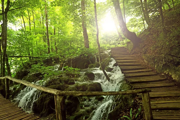 Puente de madera y hermosa vista de la cascada en el bosque de montaña — Foto de Stock
