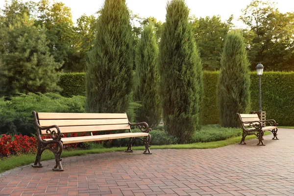 Живописный пейзаж со скамейками в солнечный день. Идея садоводства — стоковое фото