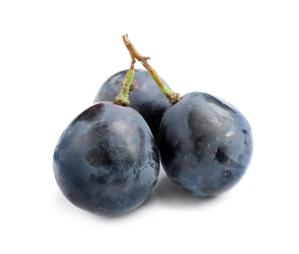 Fresh ripe juicy black grapes isolated on white — Stock Photo, Image