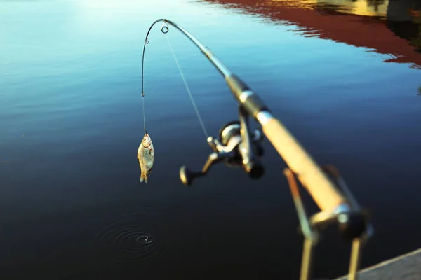 Fishing rod with caught fish at lake on sunny day Royalty Free Stock Photos