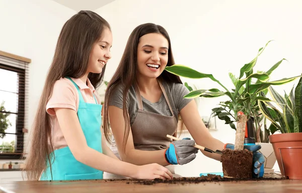 Mor och dotter tar hand om anläggningen hemma — Stockfoto