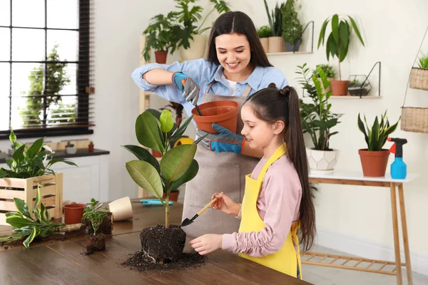 Ibu dan anak merawat tanaman di rumah — Stok Foto