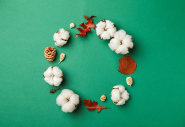 Yeşil arka plan üzerinde pamuk çiçekleri ile düz yatıyordu kompozisyon. Metin için alan