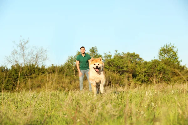 Jovem com o adorável cão Akita Inu no parque — Fotografia de Stock