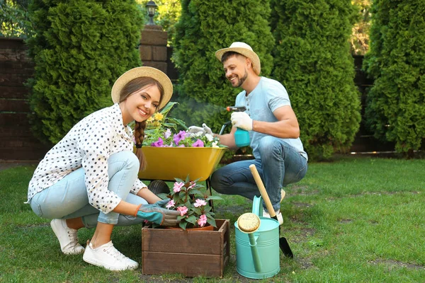 Pareja feliz trabajando juntos en el jardín verde —  Fotos de Stock