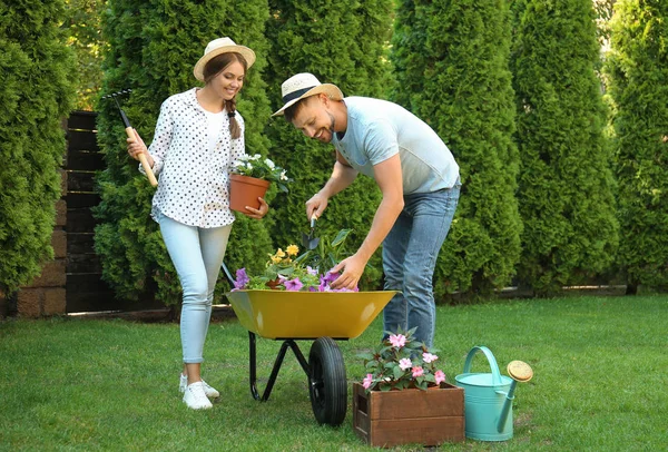 Boldog pár dolgozik együtt a zöld kertben — Stock Fotó