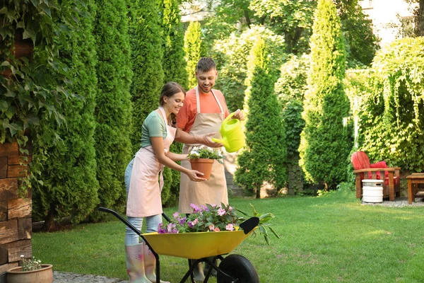 Pasangan bahagia bekerja sama di kebun hijau — Stok Foto