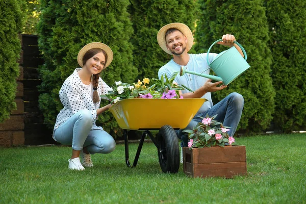 Pasangan bahagia bekerja sama di kebun hijau — Stok Foto