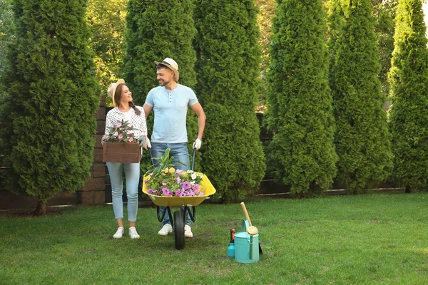 Glückliches Paar arbeitet zusammen im grünen Garten — Stockfoto
